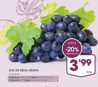 Origen - uva de mesa negra