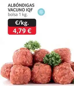GM Cash & Carry Albóndigas vacuno iqf oferta