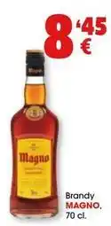TOP Cash & Carry Magno - brandy oferta