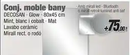 Ferrolan Conj. moble bany oferta
