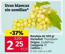 Maskom Supermercados Origen - bandeja de 500 gr oferta