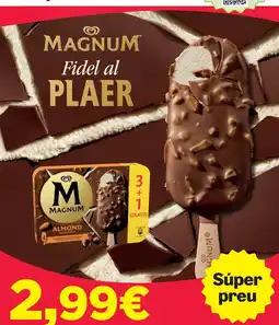 Sorli Magnum oferta