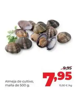 Alimerka Almeja de cultivo oferta