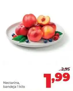 Alimerka Nectarina oferta
