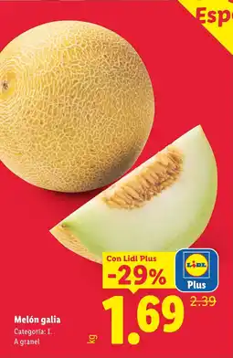Lidl Melón galia oferta