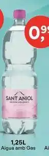 Suma Supermercados Sant aniol - aigua amb gas oferta