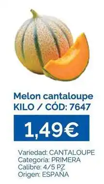 Dialsur Cash & Carry Origen - melon cantaloupe oferta