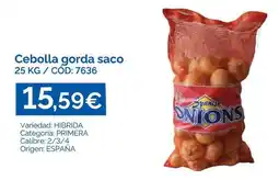 Dialsur Cash & Carry Origen - cebolla gorda saco oferta