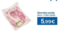 Dialsur Cash & Carry Secreto cerdo oferta