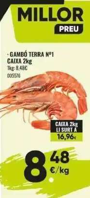 Family Cash Terra - gambo no 1 caixa oferta