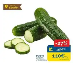 Cash Ecofamilia Origen - pepino oferta