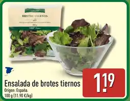 ALDI Ensalada de brotes tiernos oferta