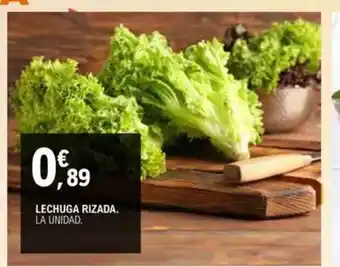 E.Leclerc Lechuga rizada oferta