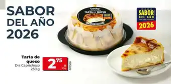 Dia Dia caprichoso - tarta de queso oferta