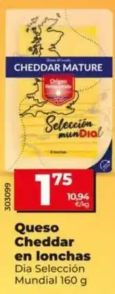 Dia Dia seleccion mundial - queso cheddar en lonchas oferta