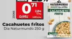 Dia Dia naturmundo - cacahuetes fritos oferta