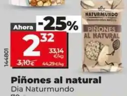 Dia Dia naturmundo - piñones al natural oferta