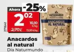 Dia Dia naturmundo - anacardos al natural oferta