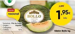 FROIZ Origen - melon bollo oferta