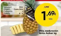 FROIZ Ambar - pina maduracion lenta oferta
