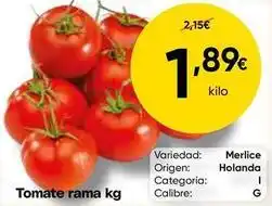 FROIZ Origen - tomate rama oferta