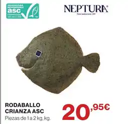 Supercor Rodaballo crianza asc oferta