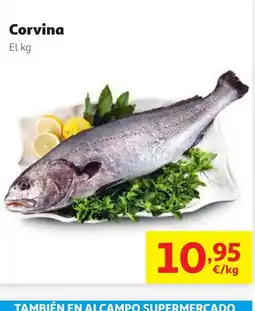 Alcampo Corvina oferta
