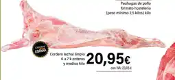 Cash Ifa Cordero lechal limpio oferta