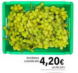 Cash Ifa Uva blanca s/semilla oferta