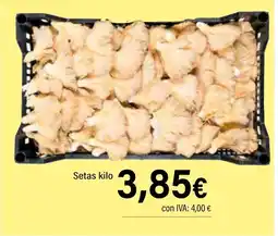 Cash Ifa Setas oferta