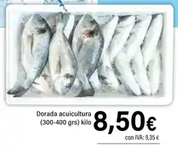 Cash Ifa Dorada acuicultura oferta
