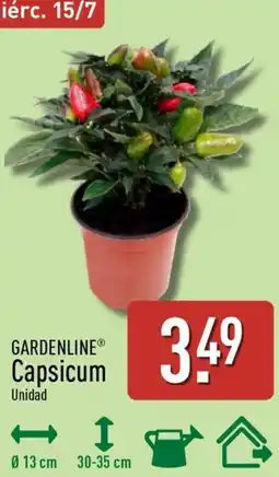 ALDI GARDENLINE Capsicum oferta