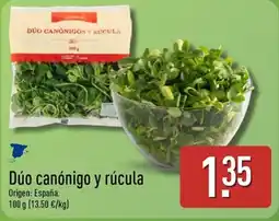 ALDI Dúo canónigo y rúcula oferta