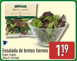 ALDI Ensalada de brotes tiernos oferta