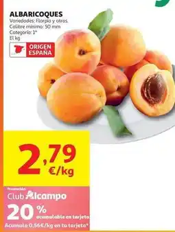 Alcampo Origen - albaricoques oferta
