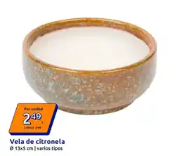 Action Vela de citronela oferta