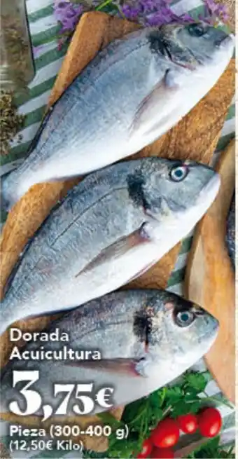 Gadis Dorada Acuicultura oferta