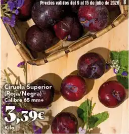 Gadis Ciruela Superior (Roja/Negra) oferta