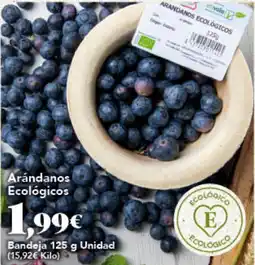 Gadis Arándanos Ecológicos oferta