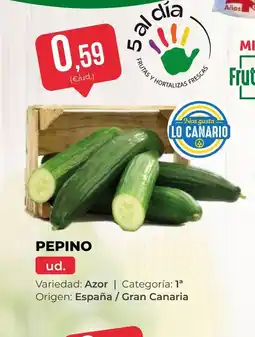 SPAR Gran Canaria Pepino oferta
