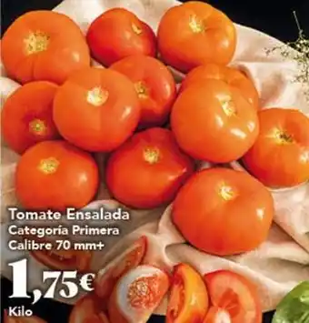 Gadis Tomate ensalada oferta