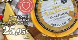 Gadis Pago de los capellanes - queso oveja gran reserva oferta
