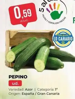 SPAR Gran Canaria As - pepino oferta