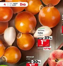 Dia Ceba oferta