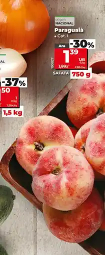 Dia Paraguaià oferta