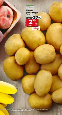 Dia Patata per a fregir oferta