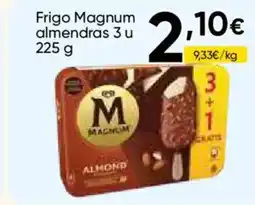 FROIZ MAGNUM Frigo almendras oferta