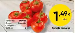 FROIZ Tomate rama oferta