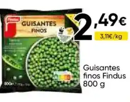 FROIZ FINDUS Guisantes finos oferta