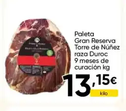 FROIZ Paleta Gran Reserva Torre de Núñez raza Duroc 9 meses de curación oferta